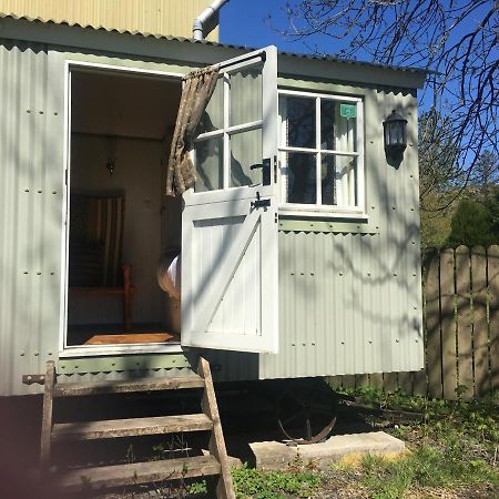 Posh Huts Farmstay Falstone Buitenkant foto