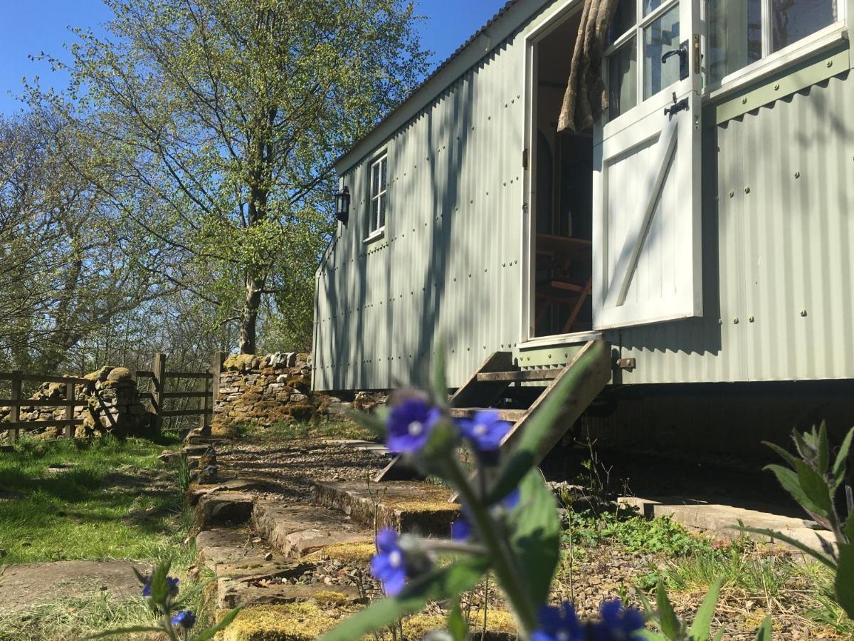 Posh Huts Farmstay Falstone Buitenkant foto