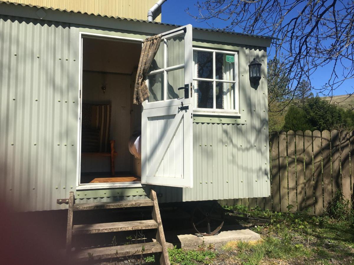 Posh Huts Farmstay Falstone Buitenkant foto