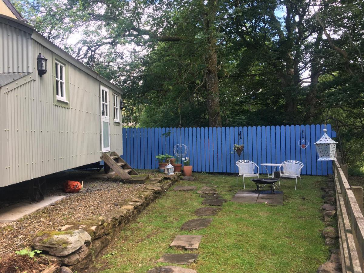 Posh Huts Farmstay Falstone Buitenkant foto
